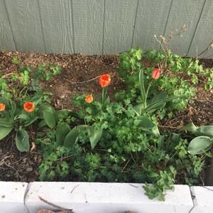 Meet your Posher, Diane